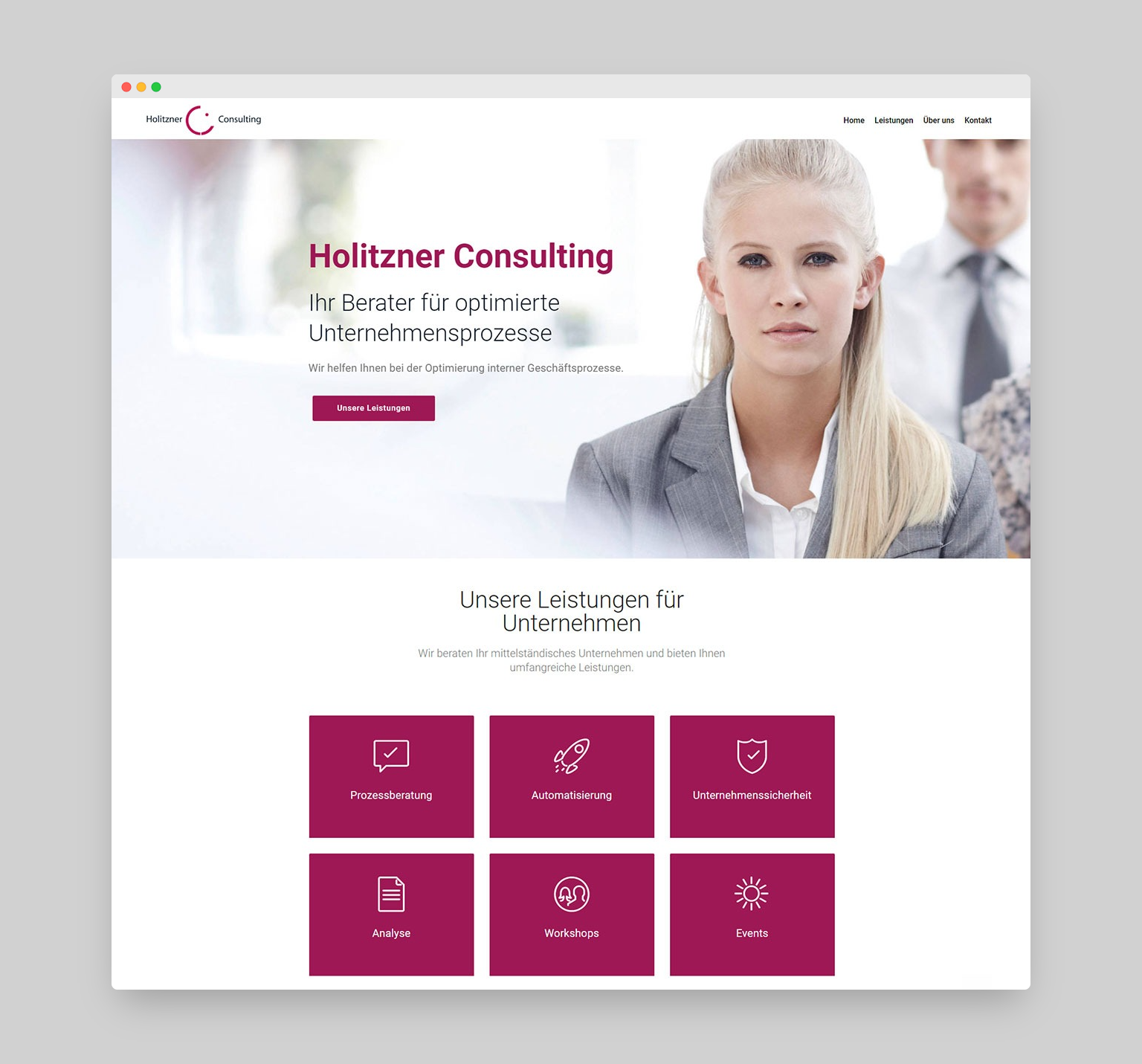 Holitzner Consulting Webdesign